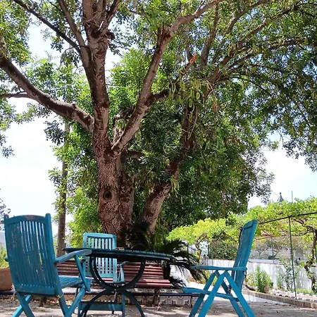 In - Limon - Enjoy And Disconnect Guest house *
