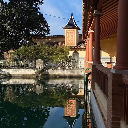In - Limon - Enjoy And Disconnect Guest house Alzira