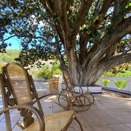 Guest house In - Limon - Enjoy And Disconnect Alzira