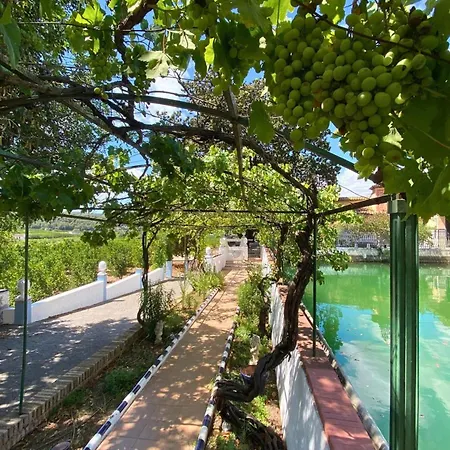 Guest house In - Limon - Enjoy And Disconnect